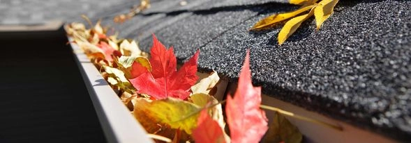 gutter full with leaves