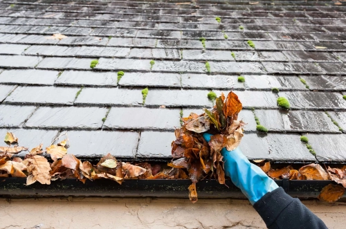 removing leaves from a clogged gutter