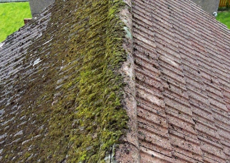 Roof Cleaning